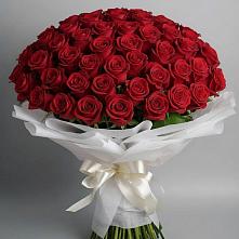 Букет 101 Красная роза Блэк Мэджик #REPLACE_PRED# Большой Мурте