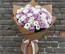 Букет цветов из:  Хризантемы #REPLACE_PRED# Большой Мурте