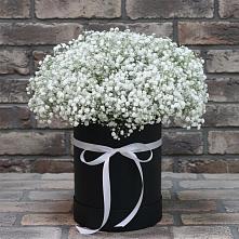 Цветочная композиция из Гипсофила в шляпной коробке в Большой Мурте