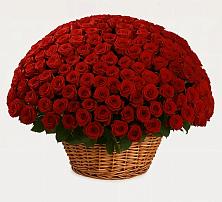 Премиум букет из: Розы в Большой Мурте